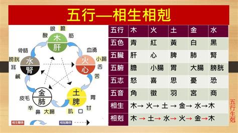 五行相剋夫妻|夫妻間五行的相生相剋 